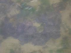 Tuesday July 12, 2011 10:48 - 100_1112 (2).JPG